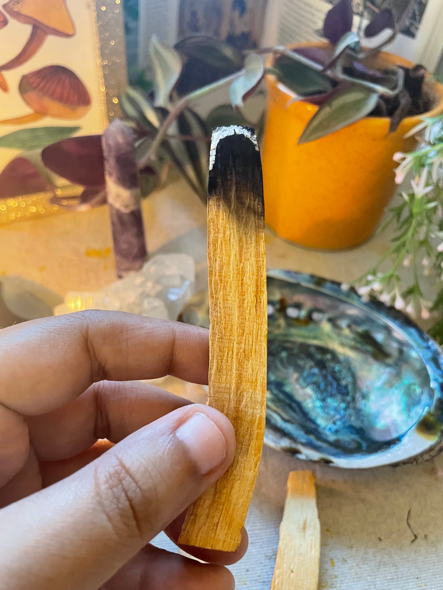 Peruvian Palo Santo Stick - Smudging, Meditation, Energy Healing, Spirituality